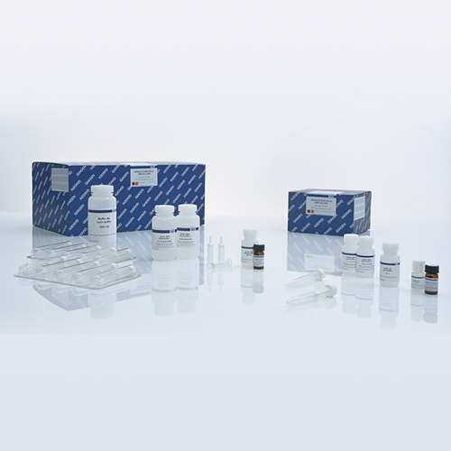 qiaamp dna blood midi kit 20 qiagen 51183 上海斐拓生物科技有限公司